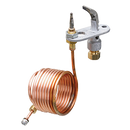 WB19K10008 Oven Pilot