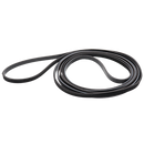 WE12X82 Dryer Belt