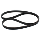 WH08X10050 Washer Belt